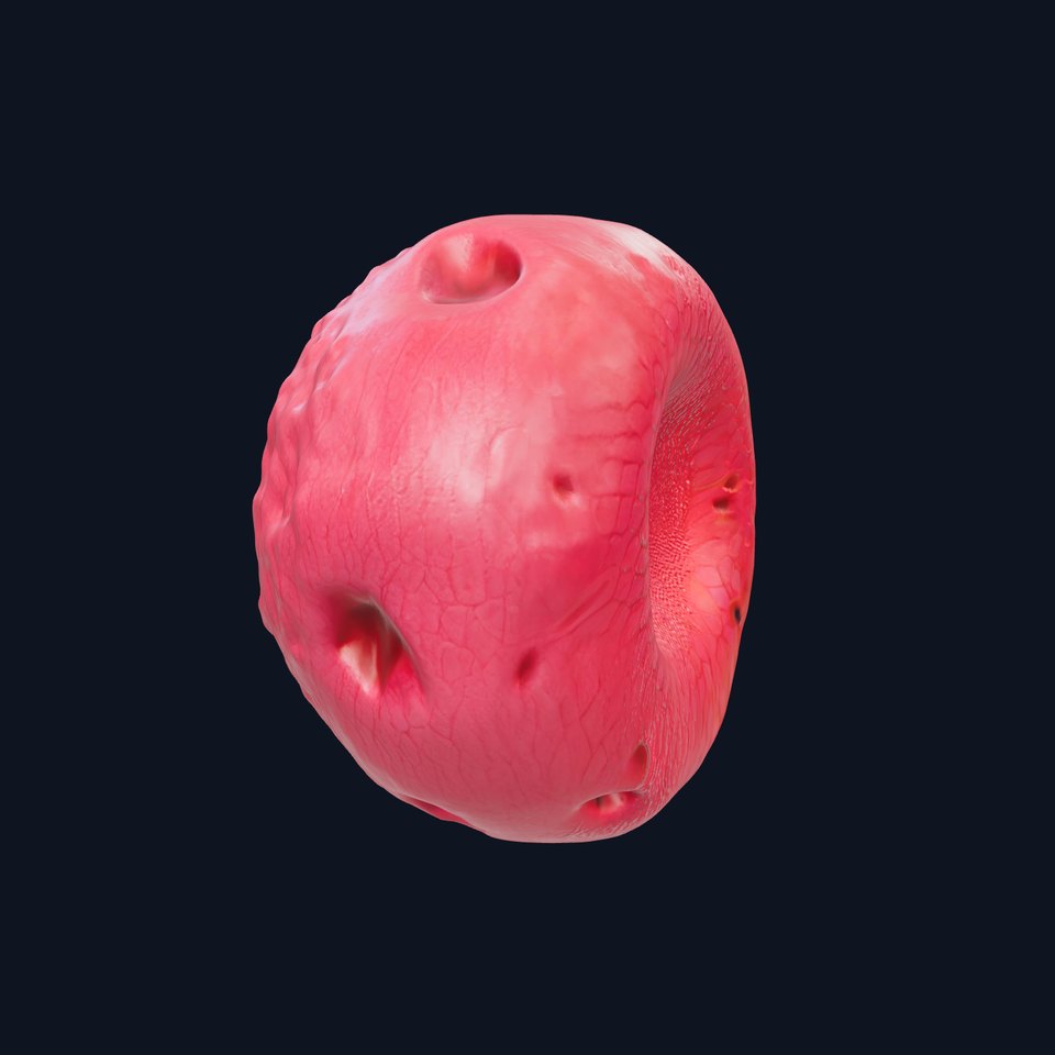 Textured Red Blood Cell model pack